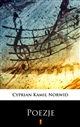 Poezje ebook (Kindle mobi, ePub)