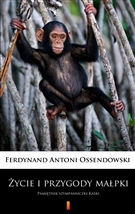 Okładka:Życie i przygody małpki. Pamiętnik szympansiczki Kaśki 