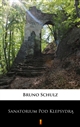 Sanatorium Pod Klepsydrą ebook (Kindle mobi, ePub)