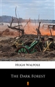 The Dark Forest ebook (Kindle mobi, ePub)