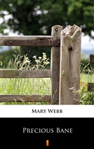 Precious Bane ebook (Kindle mobi, ePub)