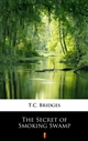 The Secret of Smoking Swamp ebook (Kindle mobi, ePub)