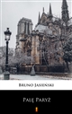 Palę Paryż ebook (Kindle mobi, ePub)