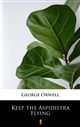Keep the Aspidistra Flying ebook (Kindle mobi, ePub)