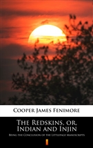The Redskins, or, Indian and Injin ebook (Kindle mobi, ePub)